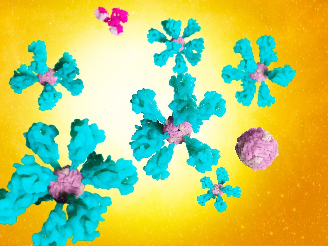 Covid-19 ferritin nanoparticle vaccine, illustration