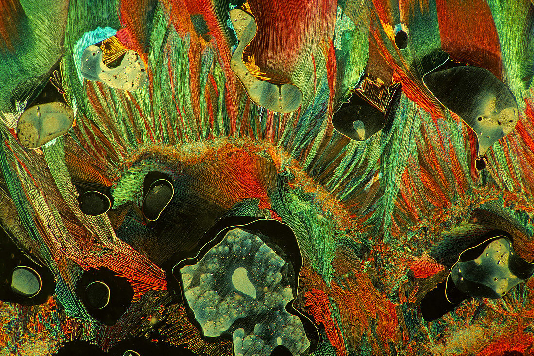 Tartaric acid crystals, light micrograph