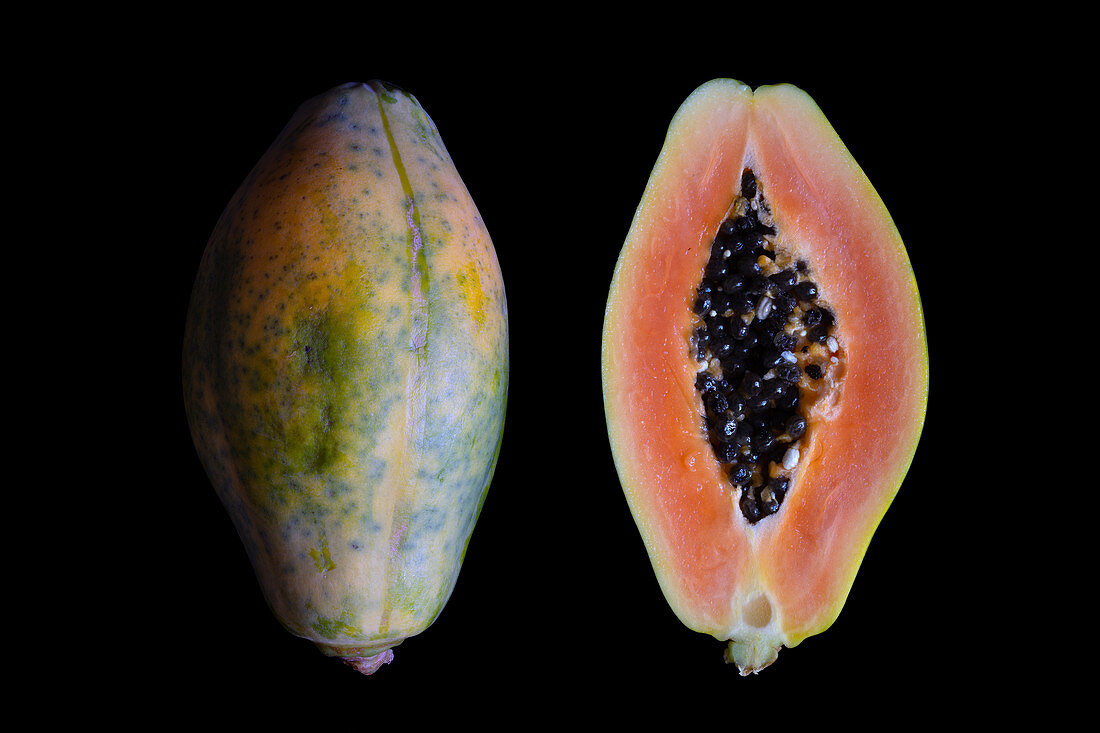 Papaya (Carica papaya) fruit