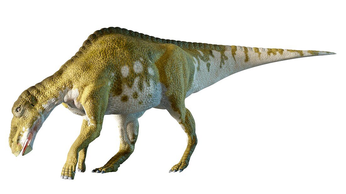 Artwork of a female Edmontosaurus