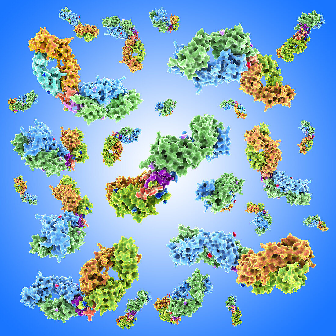 HIV antibodies complexed with peptides, illustration