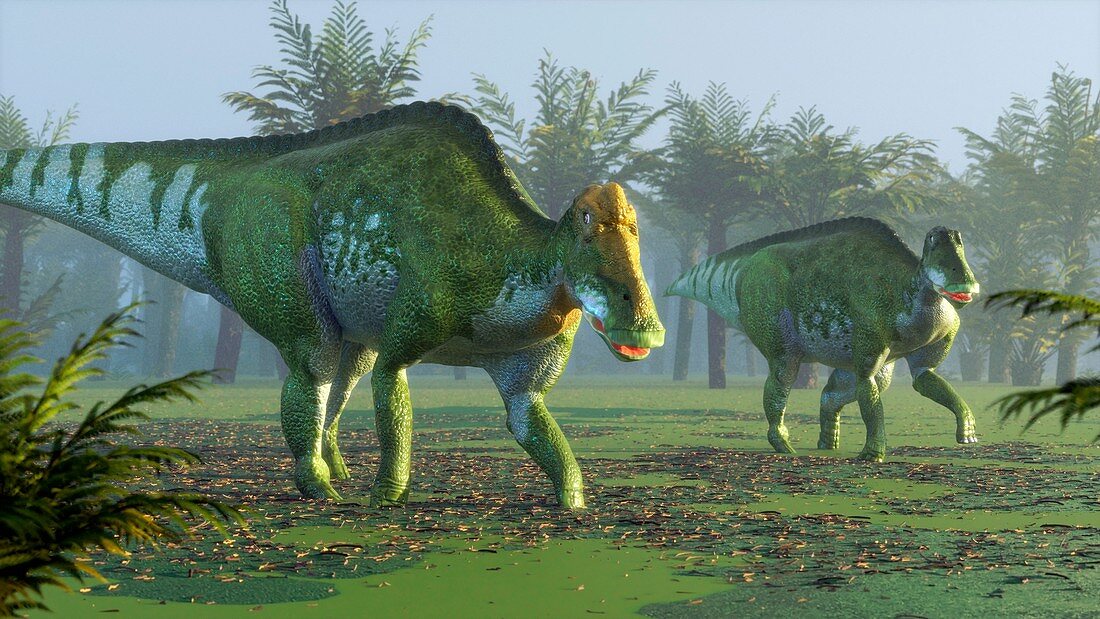 Artwork of Edmontosaurus