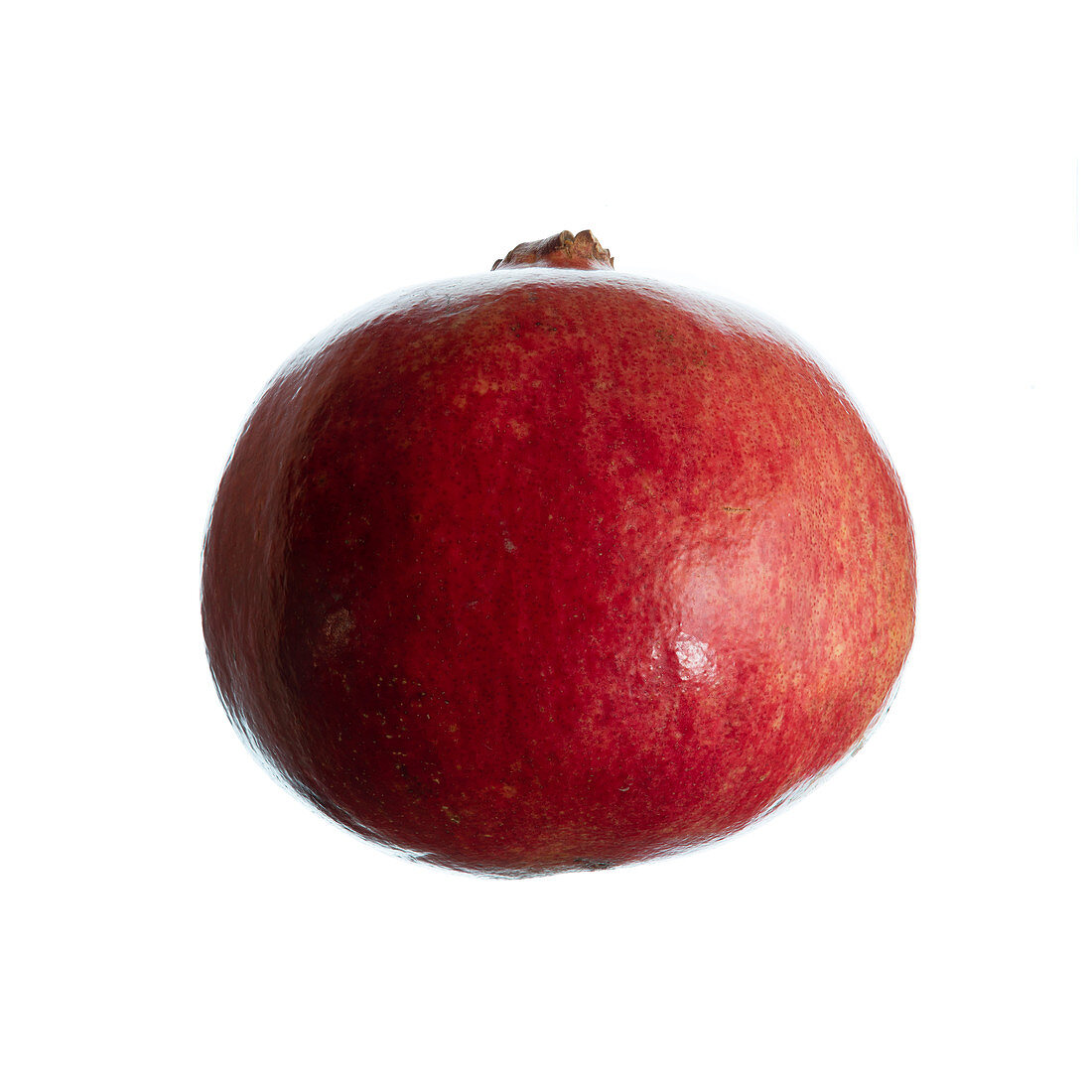 Pomegranate (Punica granatum) fruit