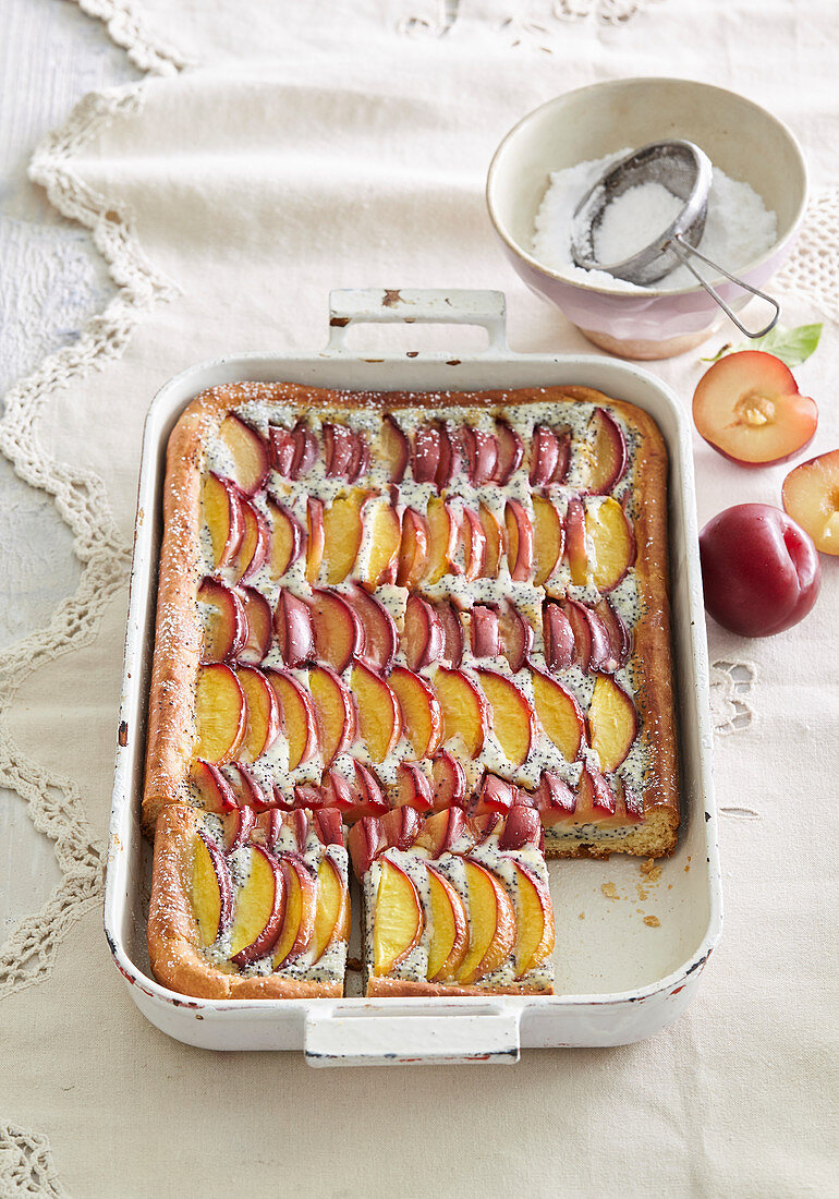 Colorful cake with peaches and round plums with custard and poppy seed filling