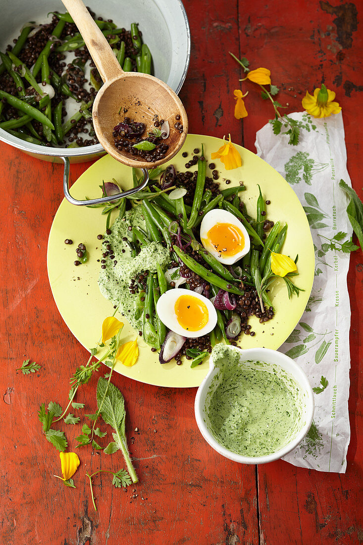 Lukewarm bean and beluga lentil salad with herb sauce and eggs