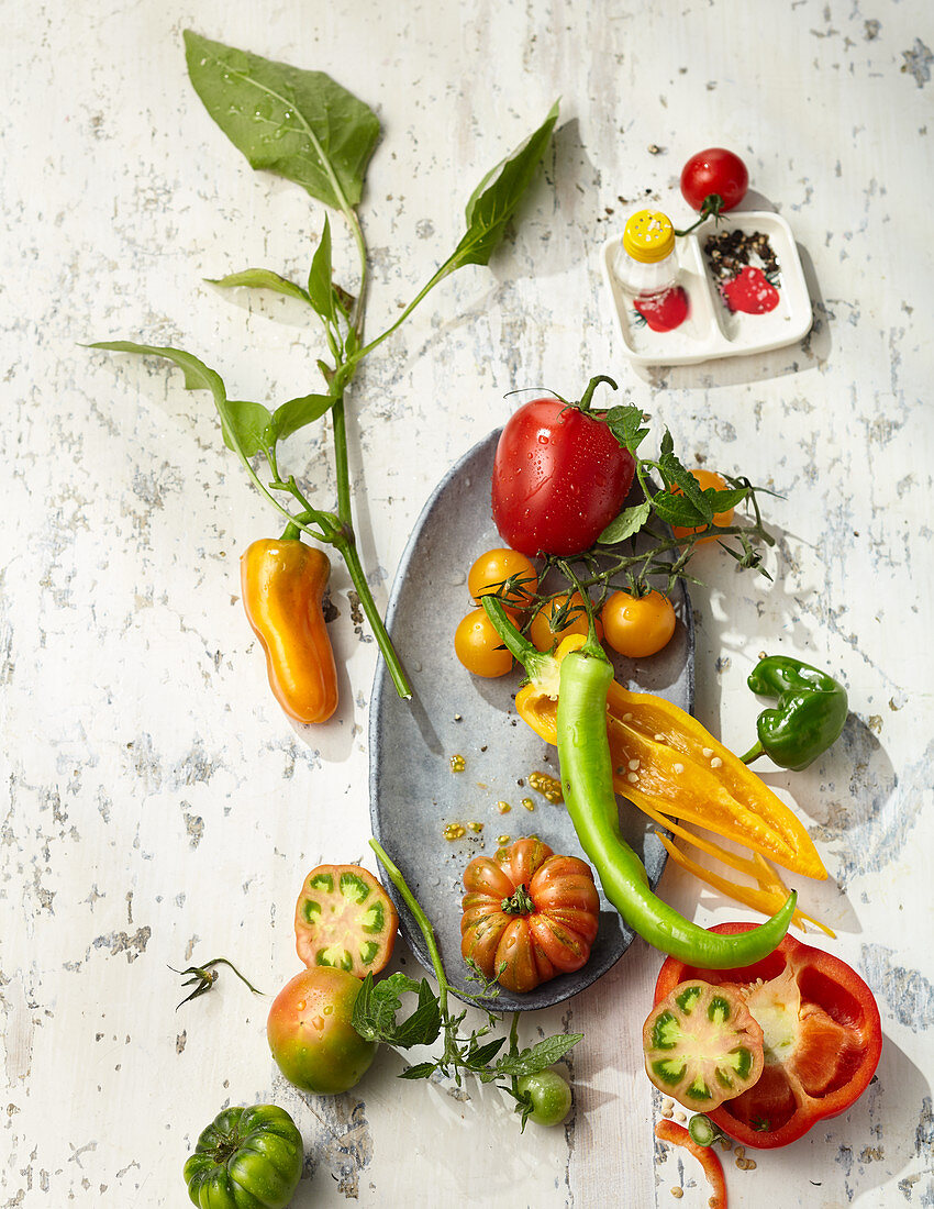 Verschiedene Paprika- und Tomatensorten