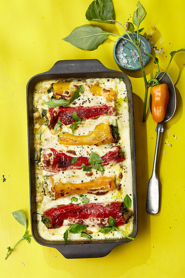 Bell pepper cannelloni with ricotta sauce
