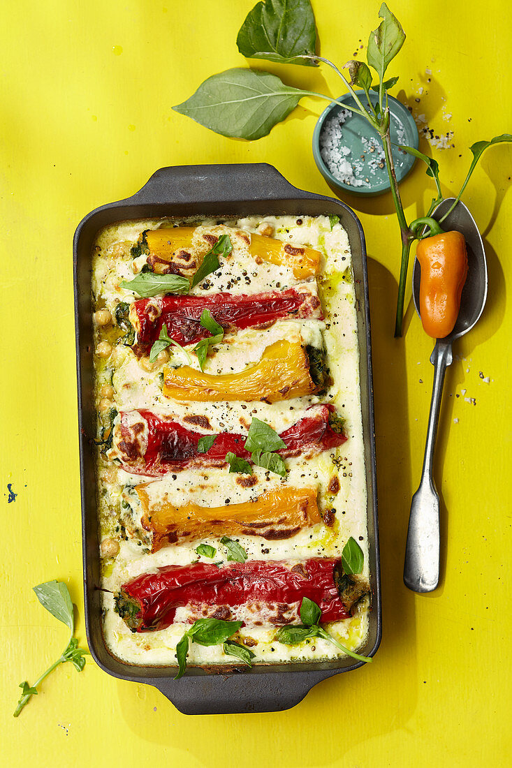 Paprika-Cannelloni mit Ricottasauce