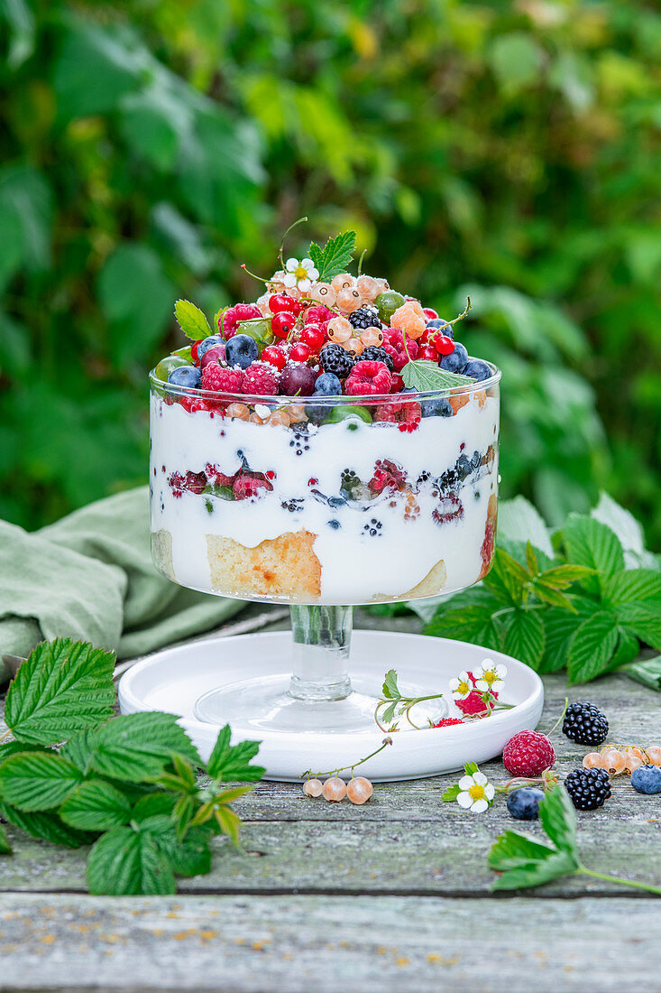 Berry yogurt trifle