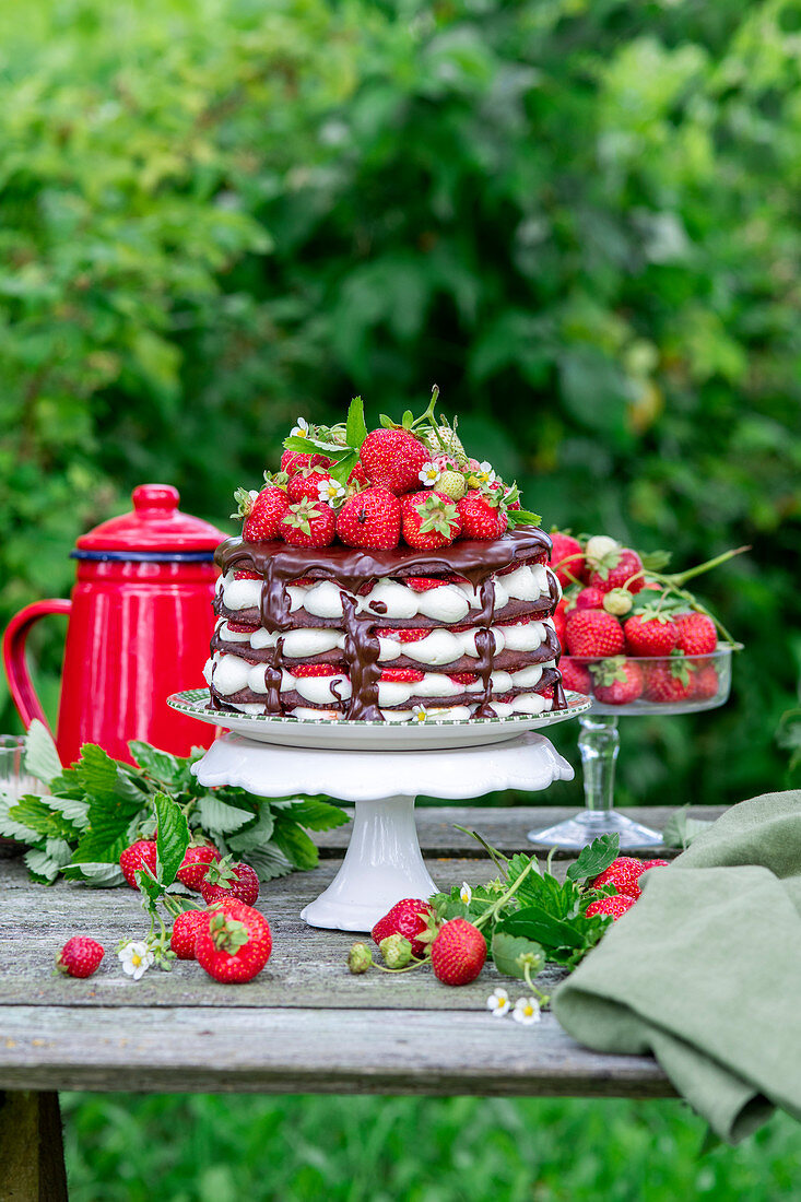 Strawberry chocolate cake