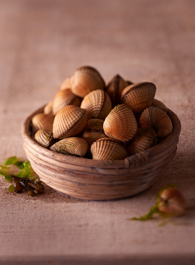 Venusmuscheln in einer Schale