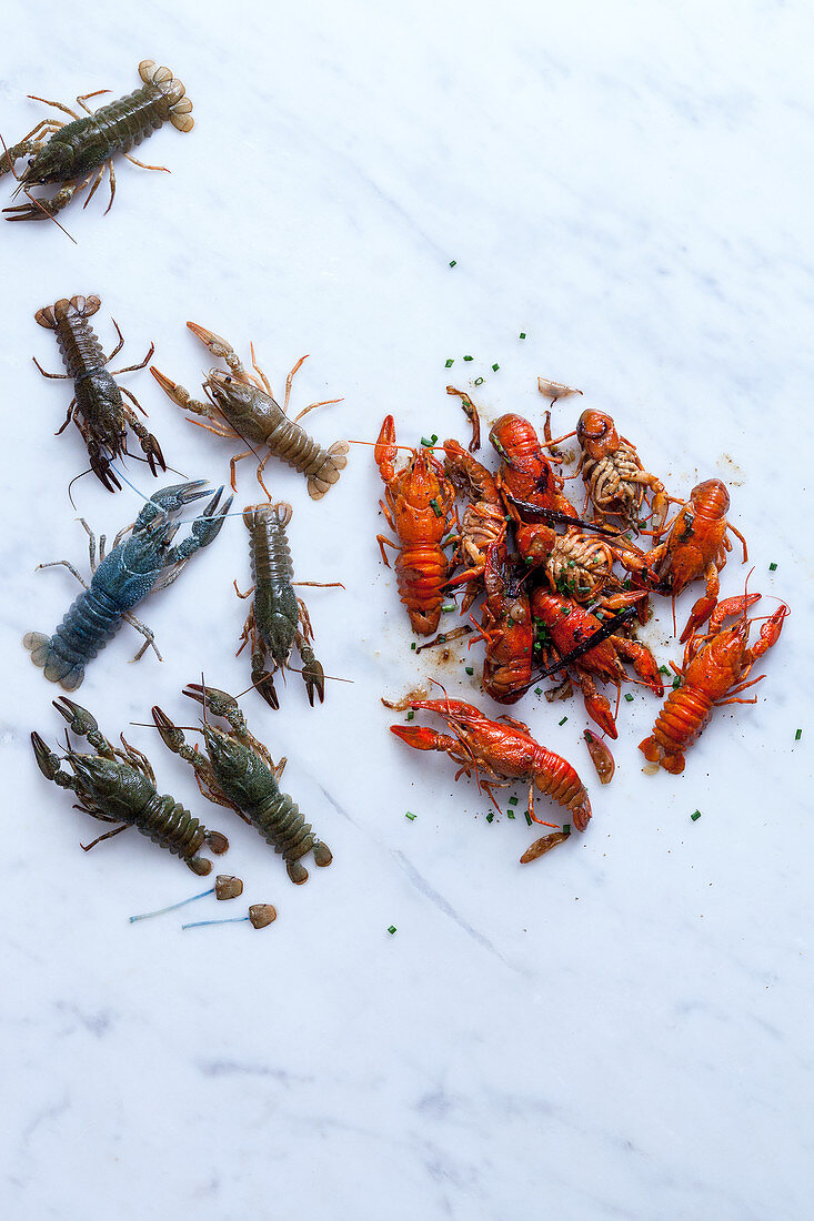 Crayfish, raw and prepared