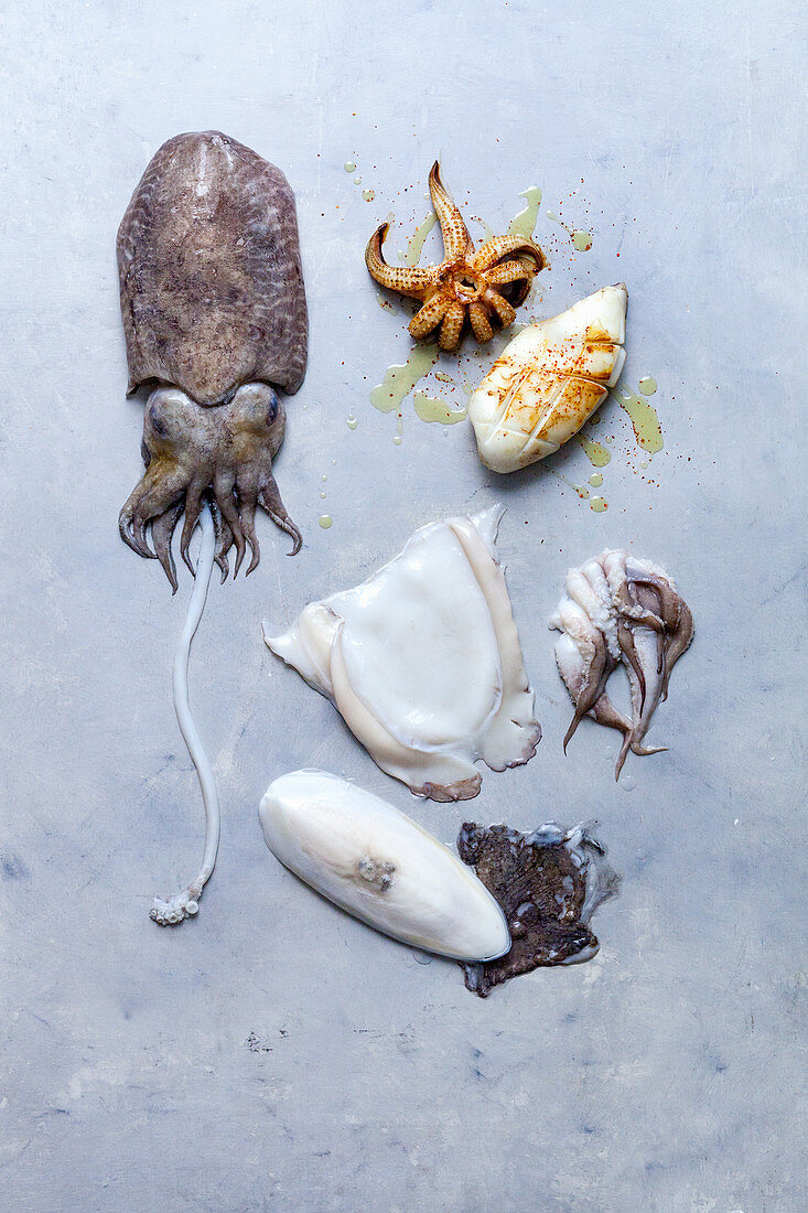 Squid, raw and prepared