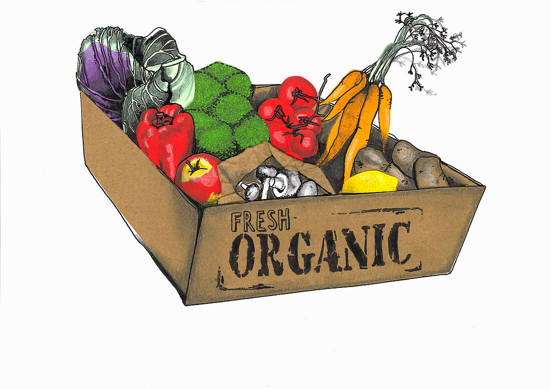 Organic box of fruit and vegetables (illustration)