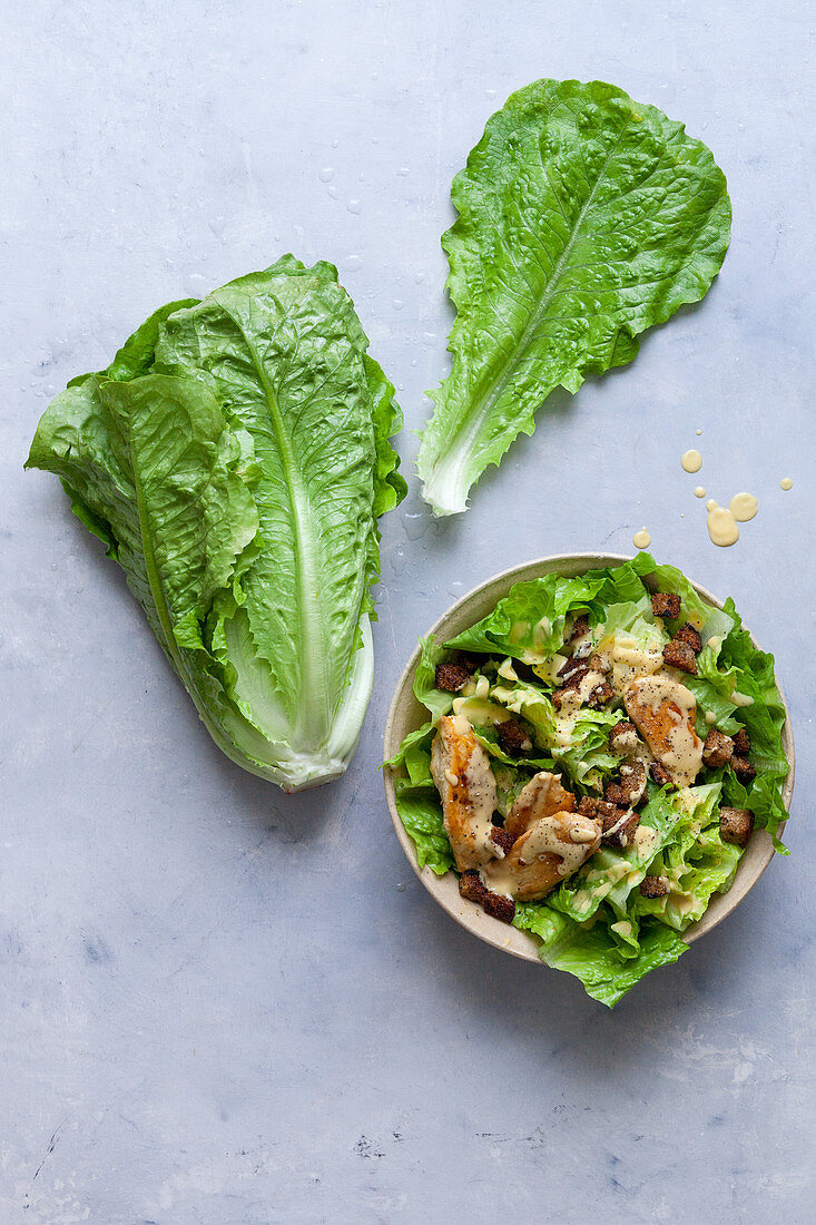 Romaine salad with chicken breast