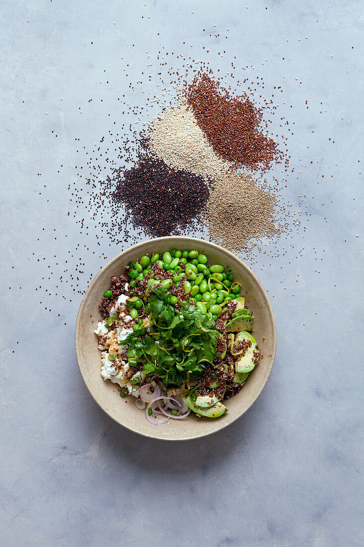 Quinoa-Salat mit Edamame und frischem Ziegenkäse