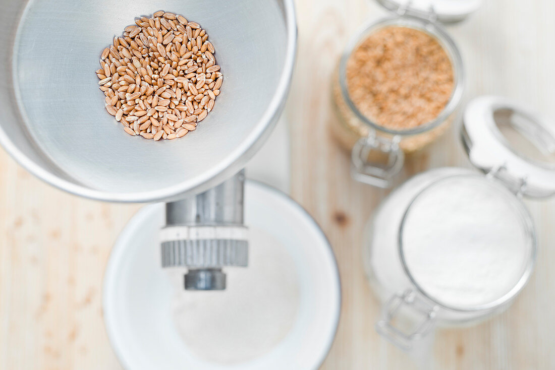 Organic spelt in a grain mill