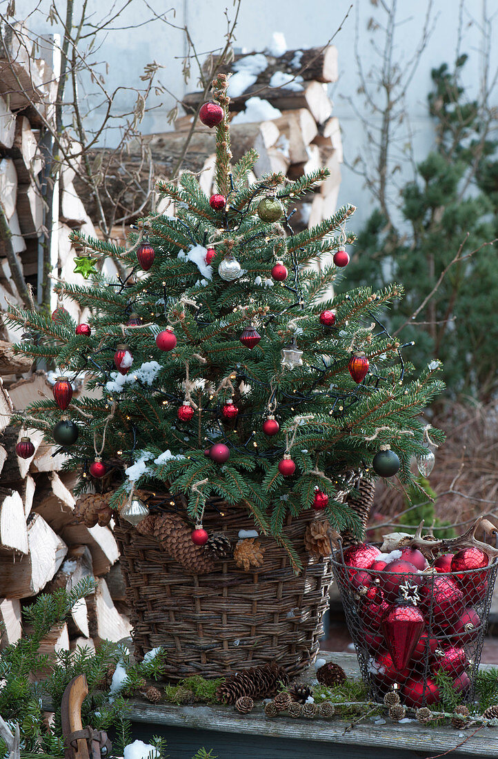 Decorated spruce as a Christmas tree on the terrace