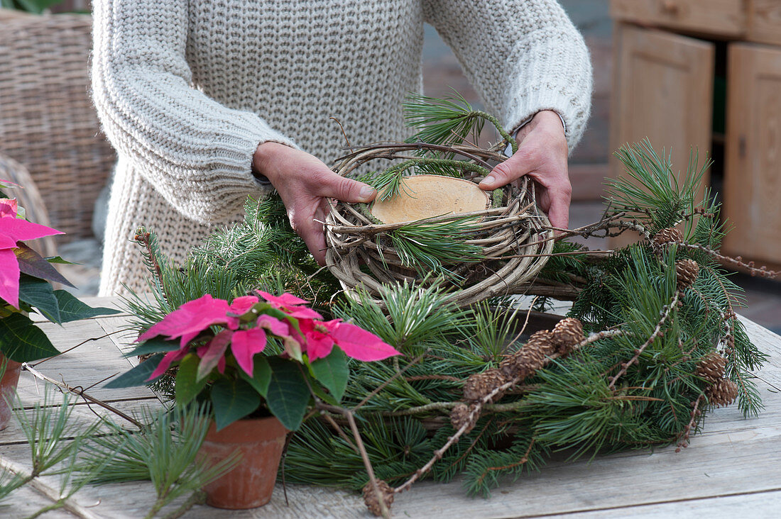 Kranz mit Weihnachtssternen und Koniferenzweigen