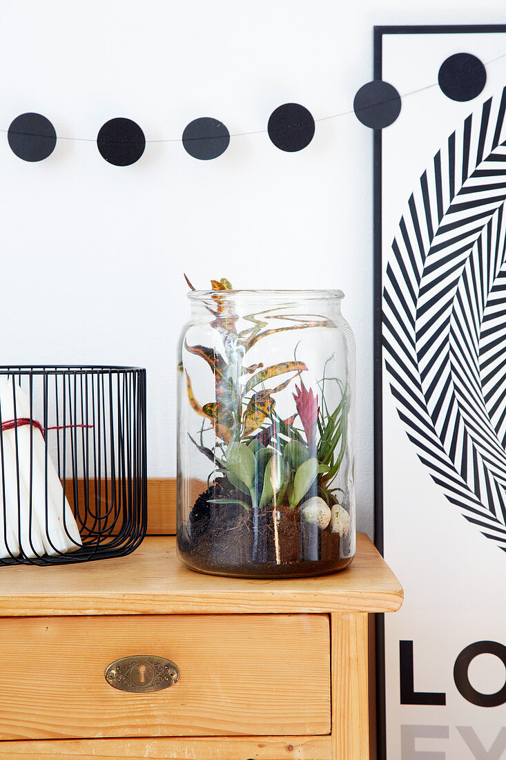 Large glass jar planted with arrangement of houseplants