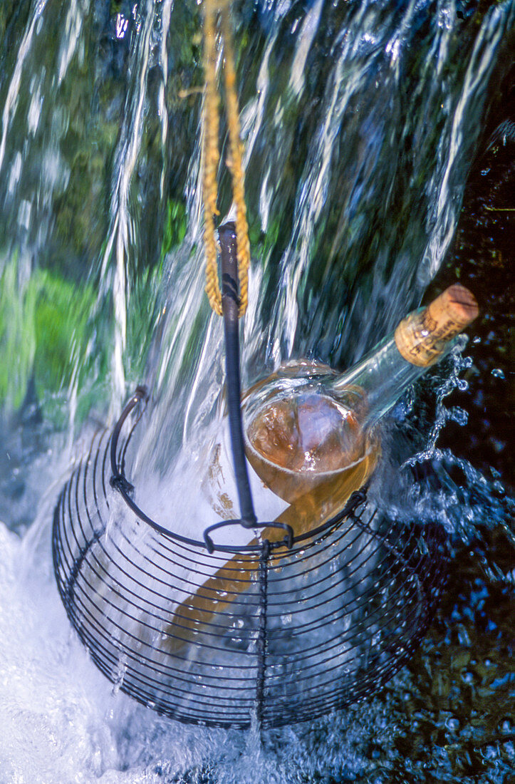 Eine Flasche Rosewein im Drahtkorb hängt in Wasserfall