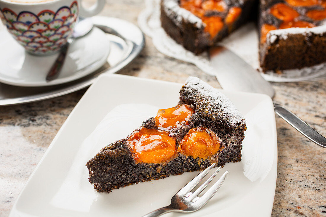 Poppy cake with apricots