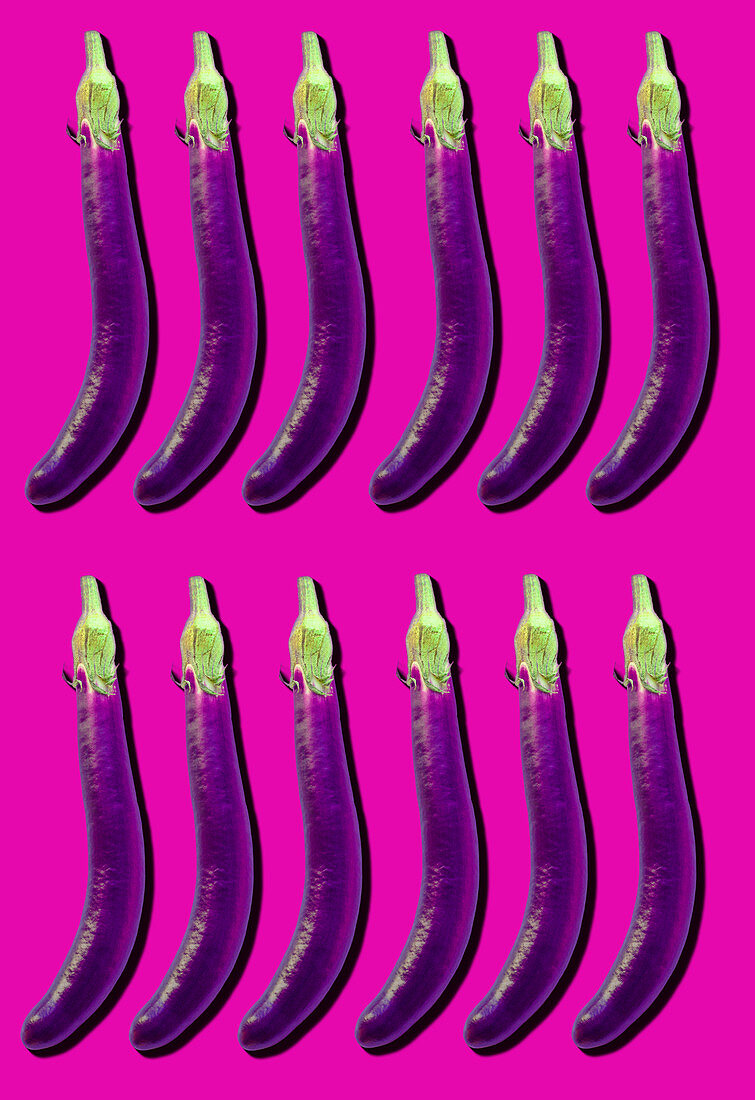 Snake eggplants