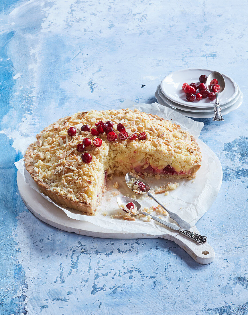 Apfelkuchen mit Cranberries