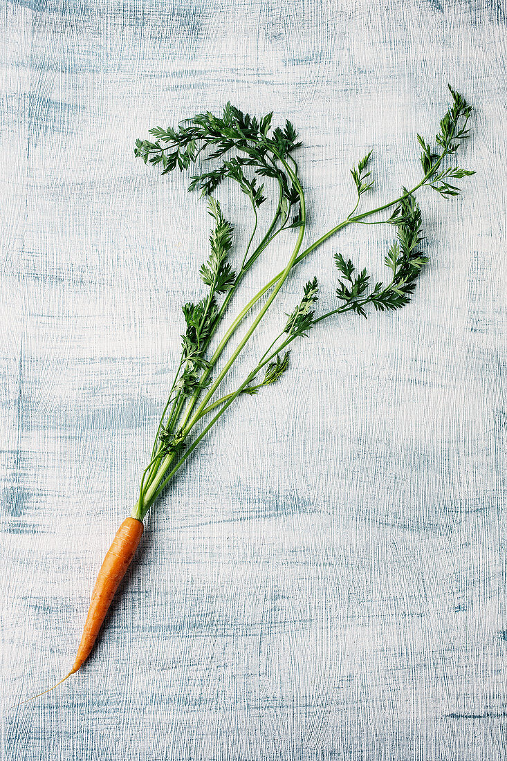 A fresh carrot with leaves