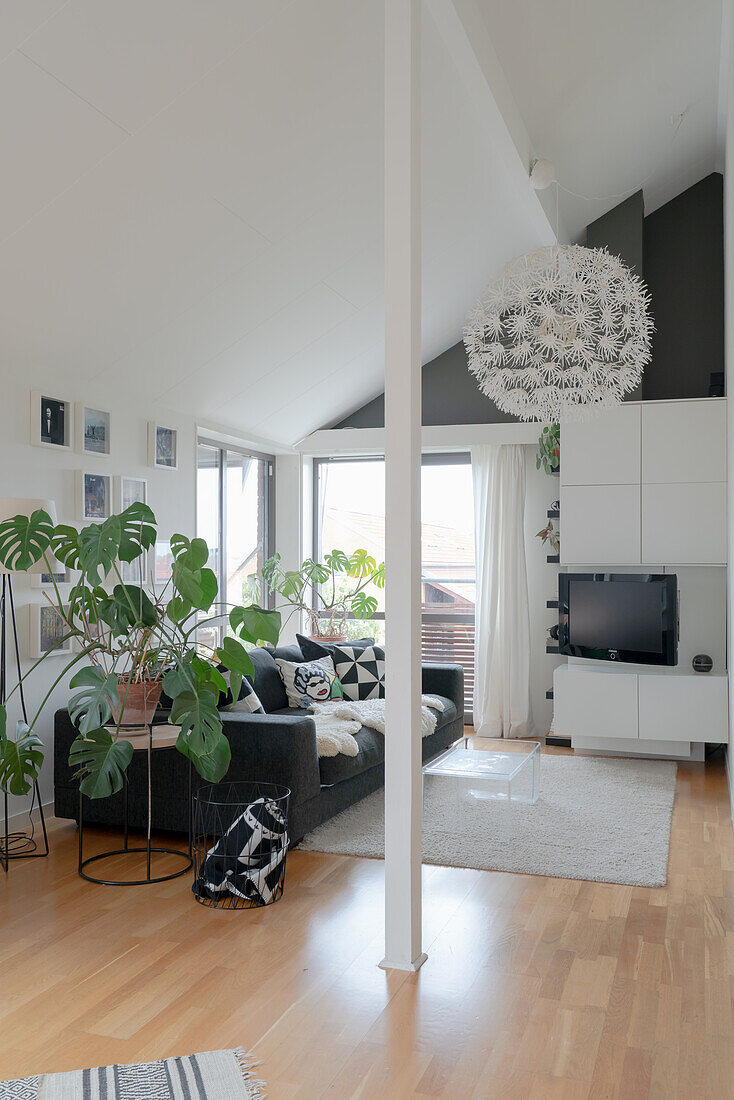 Monstera plant beside the sofa in a living room under a sloping roof