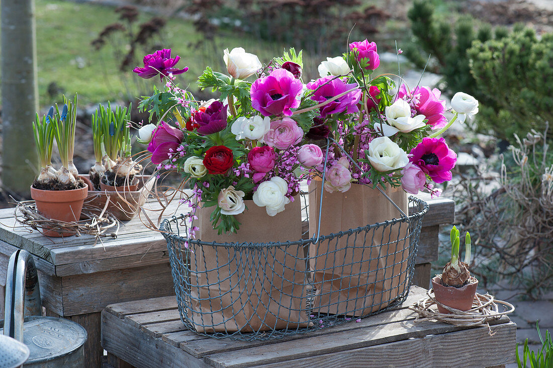 Spring bouquets of ranunculus, anemone, and broom in bags in a wire basket, pots with grape hyacinths
