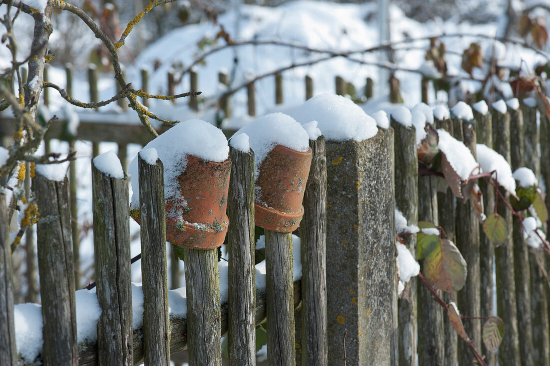 Garden fence and clay pots in the snowy garden