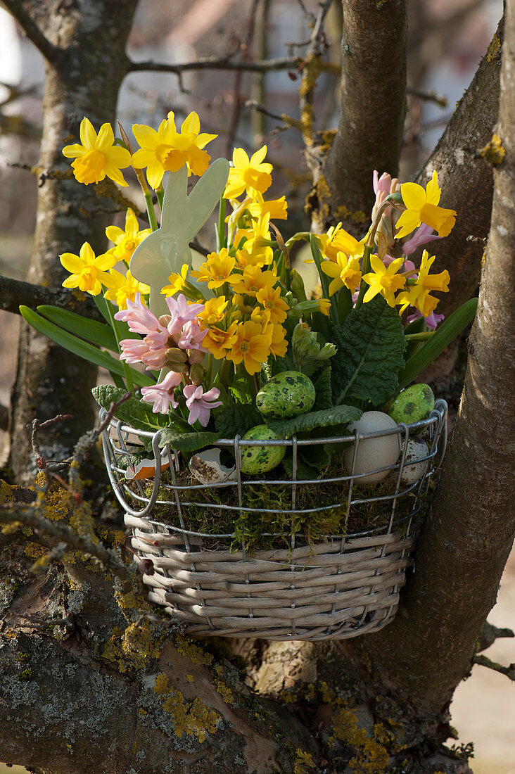 Easter basket with daffodils, primroses, hyacinths, and Easter eggs