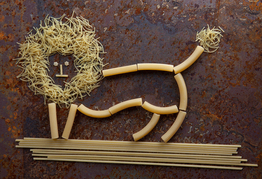A lion made from raw pasta shapes