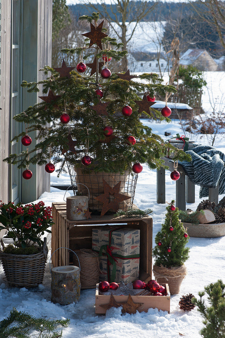 Christmas terrace with fir tree as Christmas tree, decorated with ornaments and stars in wire basket placed on wine crate