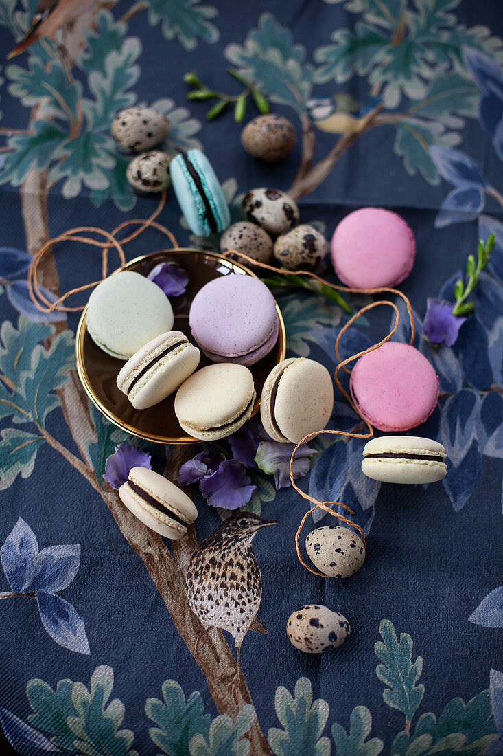 Colourful macaroons and quail's eggs