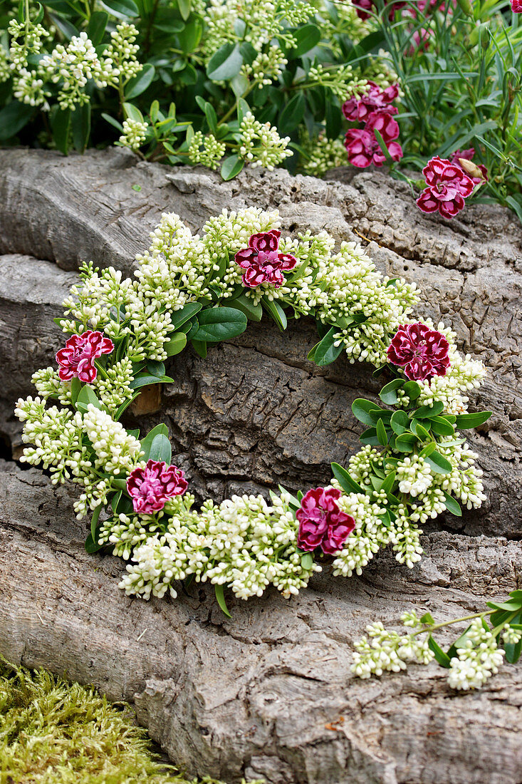 Summer wreath made from privet flowers and carnations