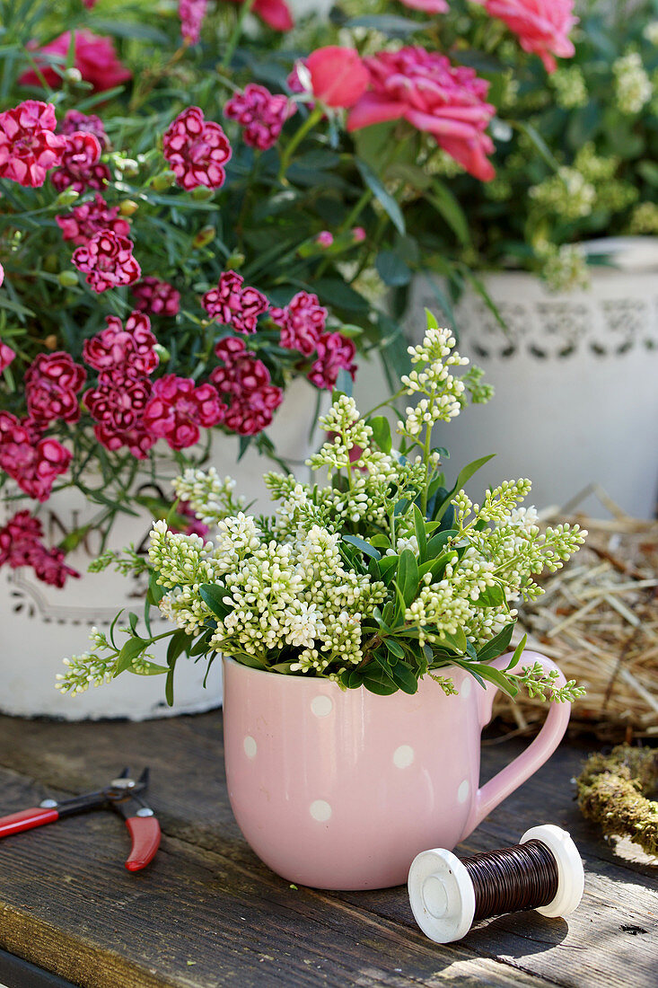 A small bouquet of privet flowers in mug next to pot with cloves