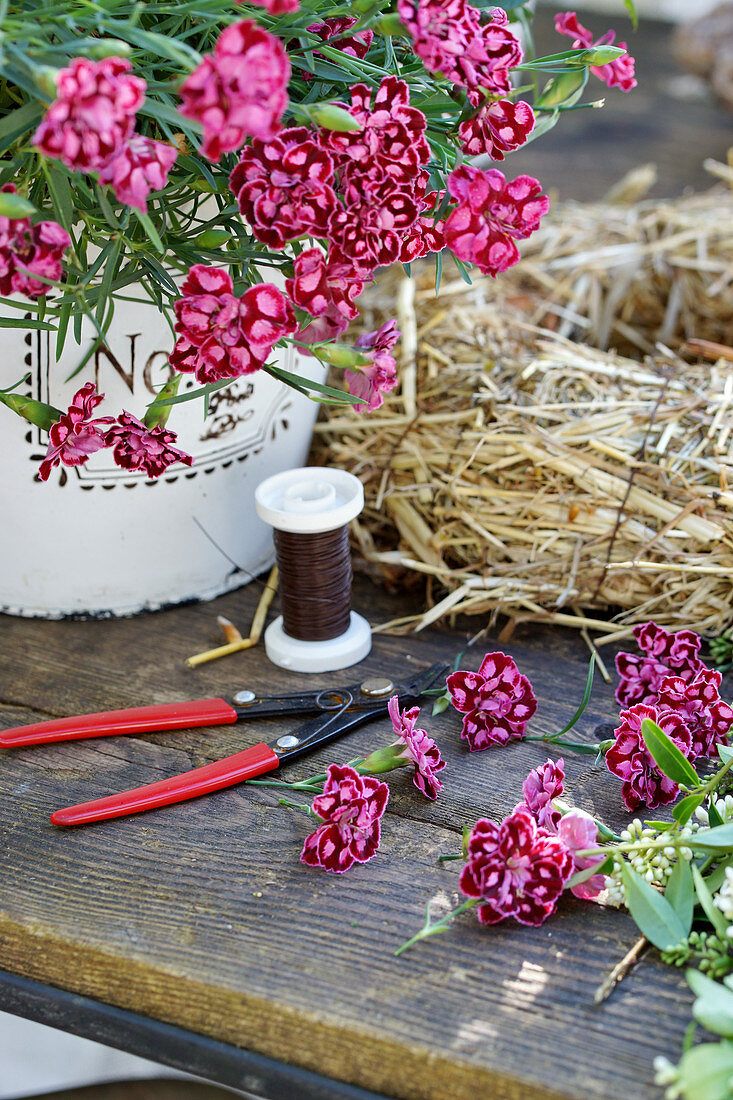 Topf mit Nelke und abgeschnittenen Blüten auf dem Tisch