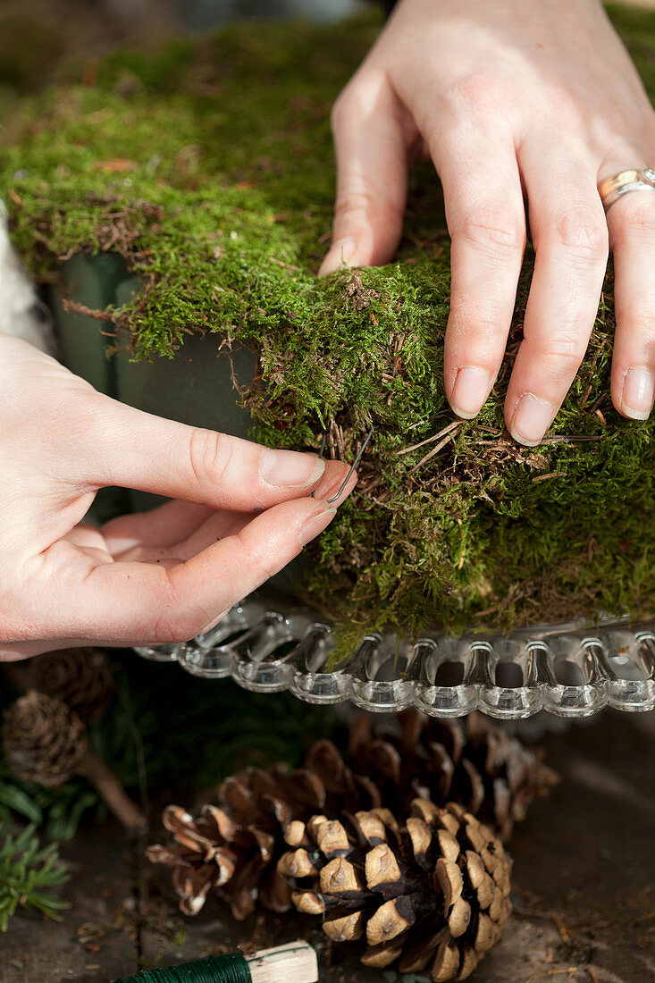 Attach moss to the foam compound