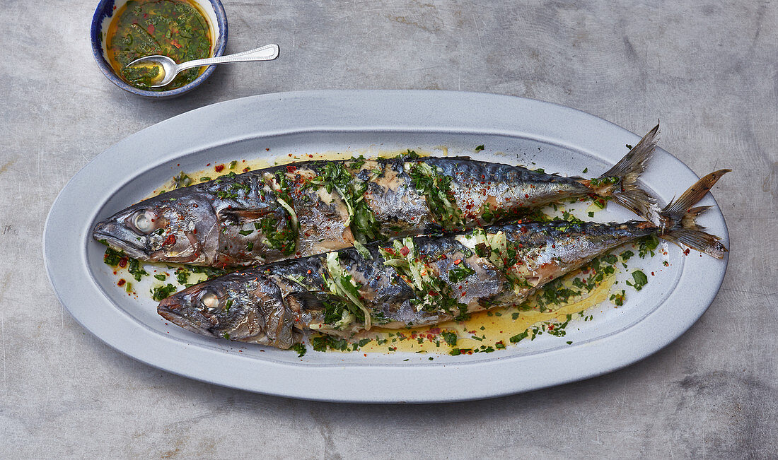 Grilled mackerel with lemon oil and herbs (Turkey)