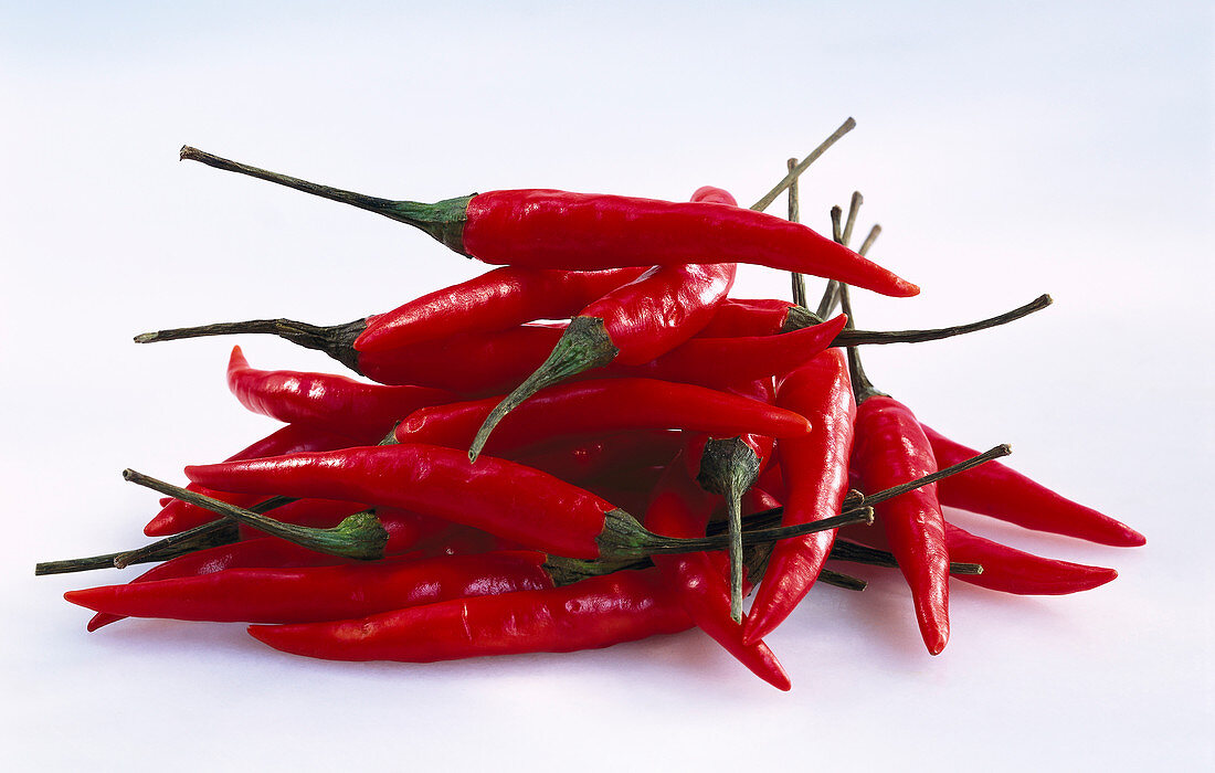 A pile of red chili peppers