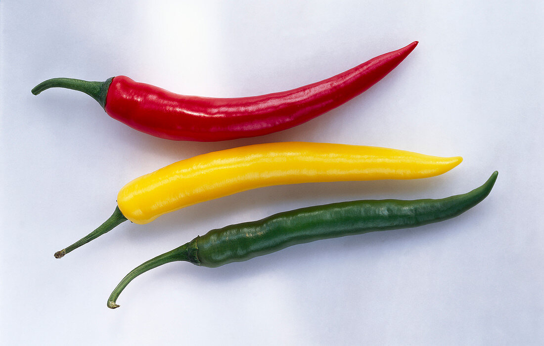 Three chili peppers, red, yellow, green