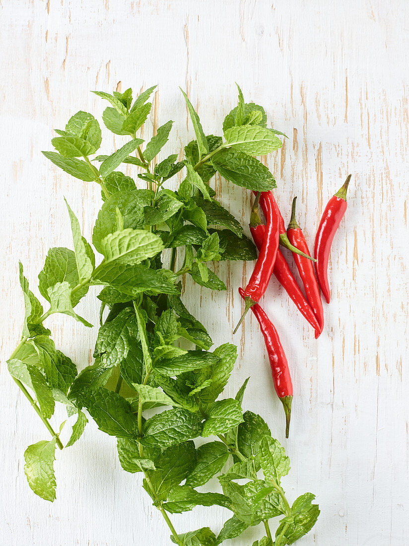 Fresh mint and red chilli peppers