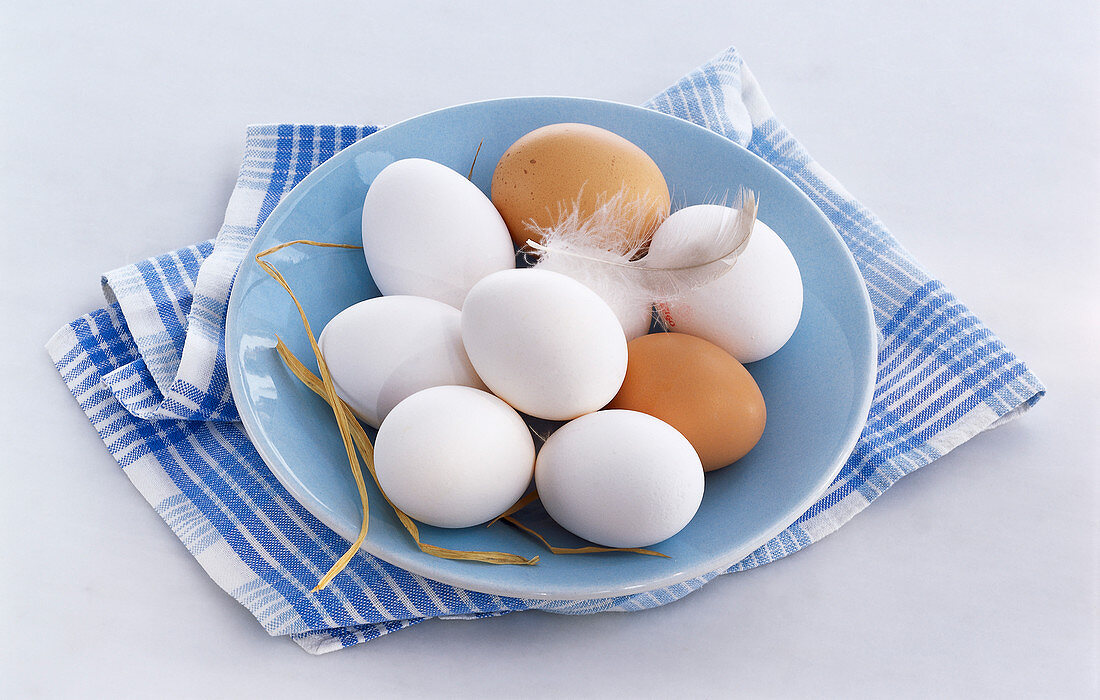 White and brown eggs with a feather on a light blue plate