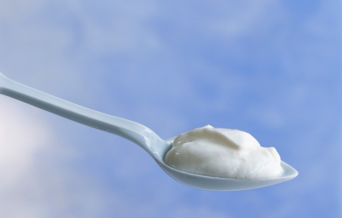 A spoon of yogurt