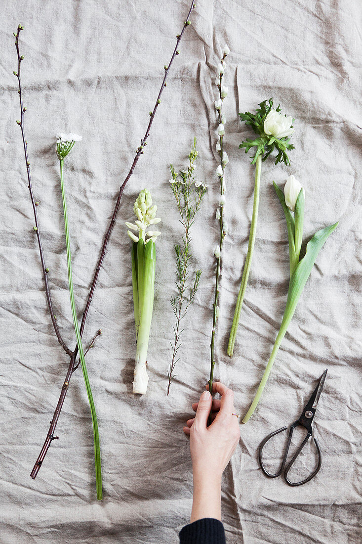 White spring flowers: tulip, anemone, willow catkins, waxflower, hyacinth, star-of-Bethlehem and cherry branch