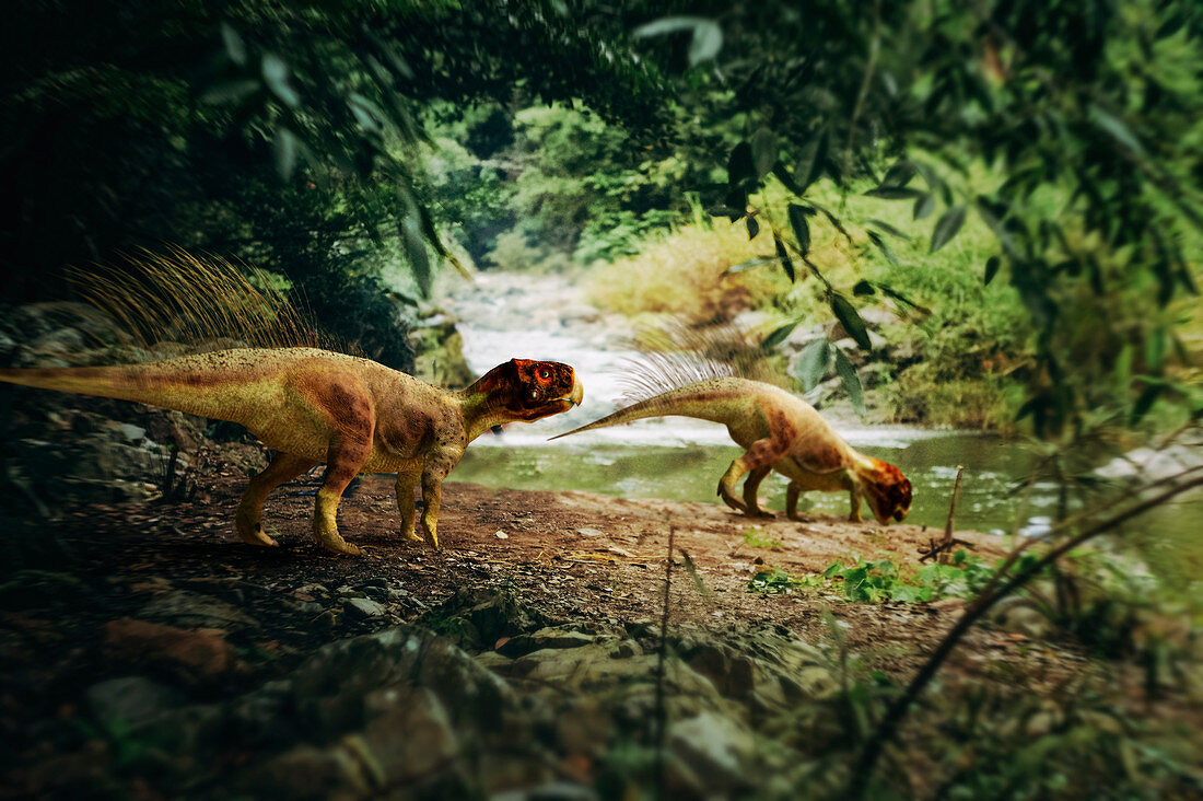 Psittacosaurus dinosaurs, illustration