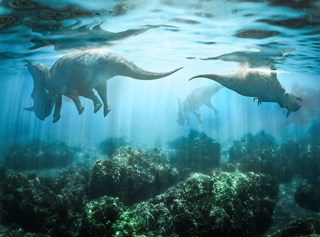 Drowning centrosaurus dinosaurs, illustration