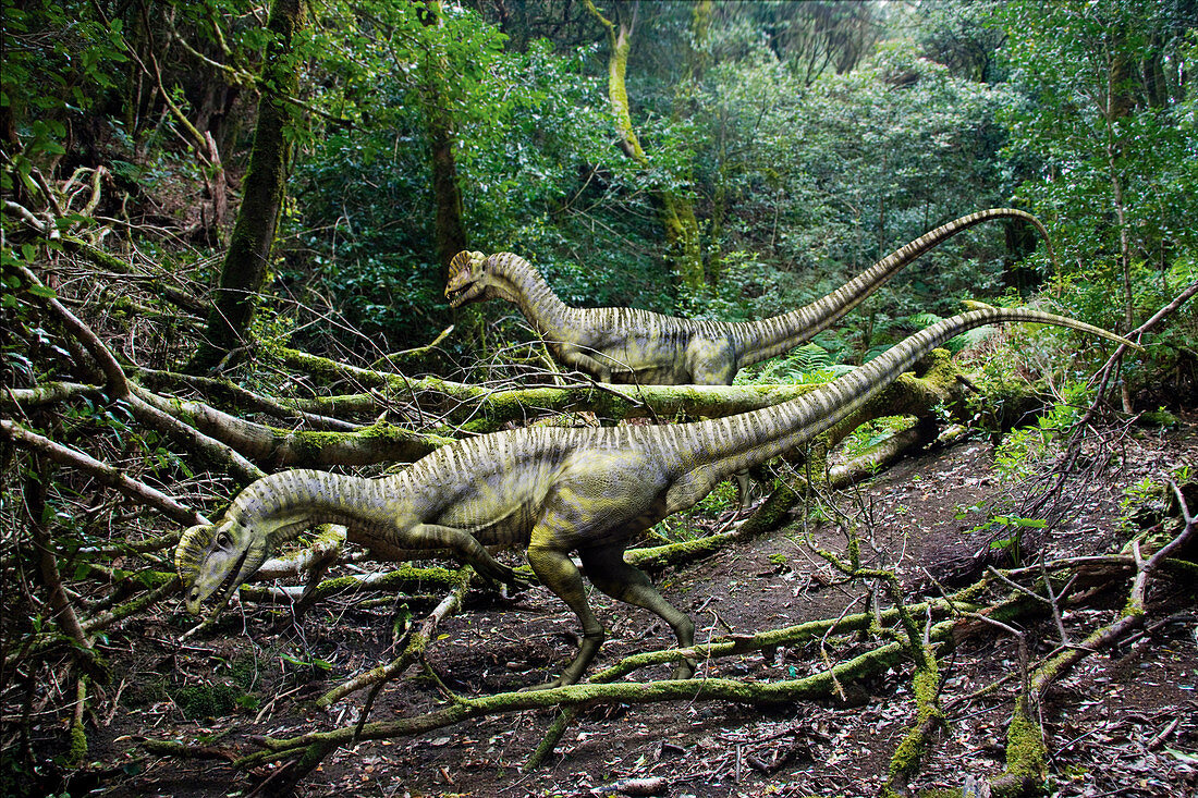 Dilophosaurus dinosaurs, illustration